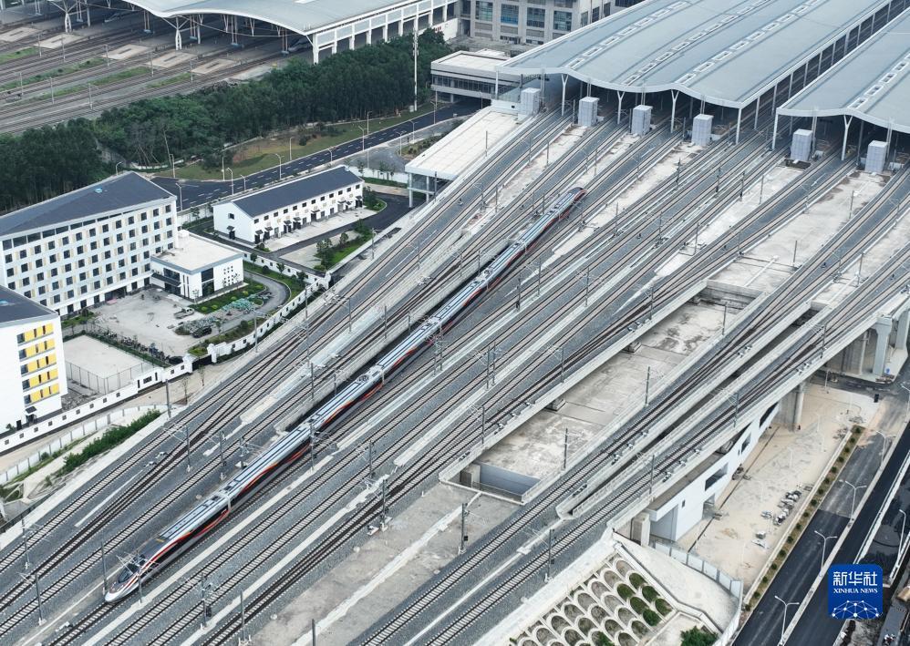 五龙争霸app